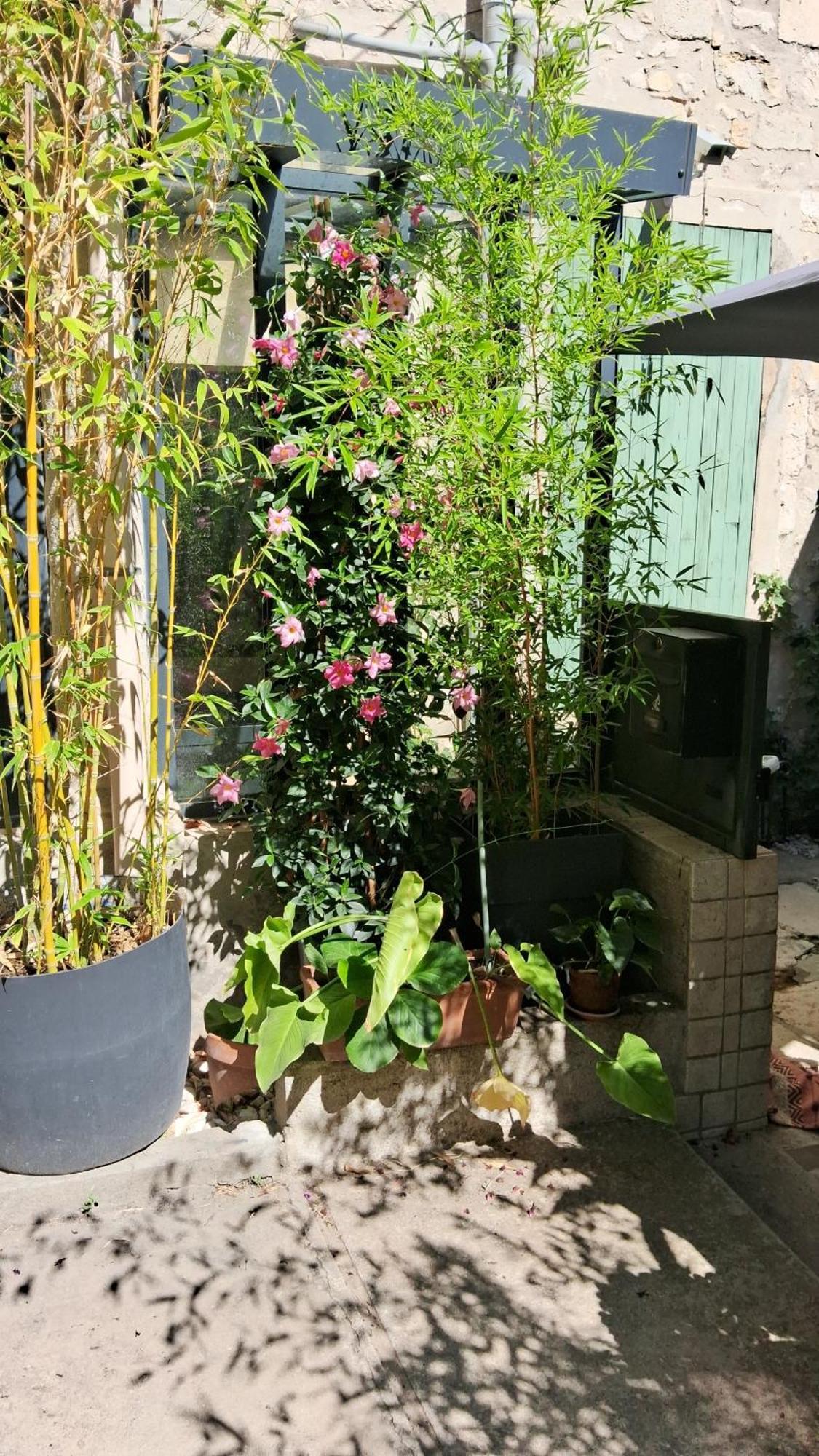 Le Clos Du Rouet Tarascón Exterior foto