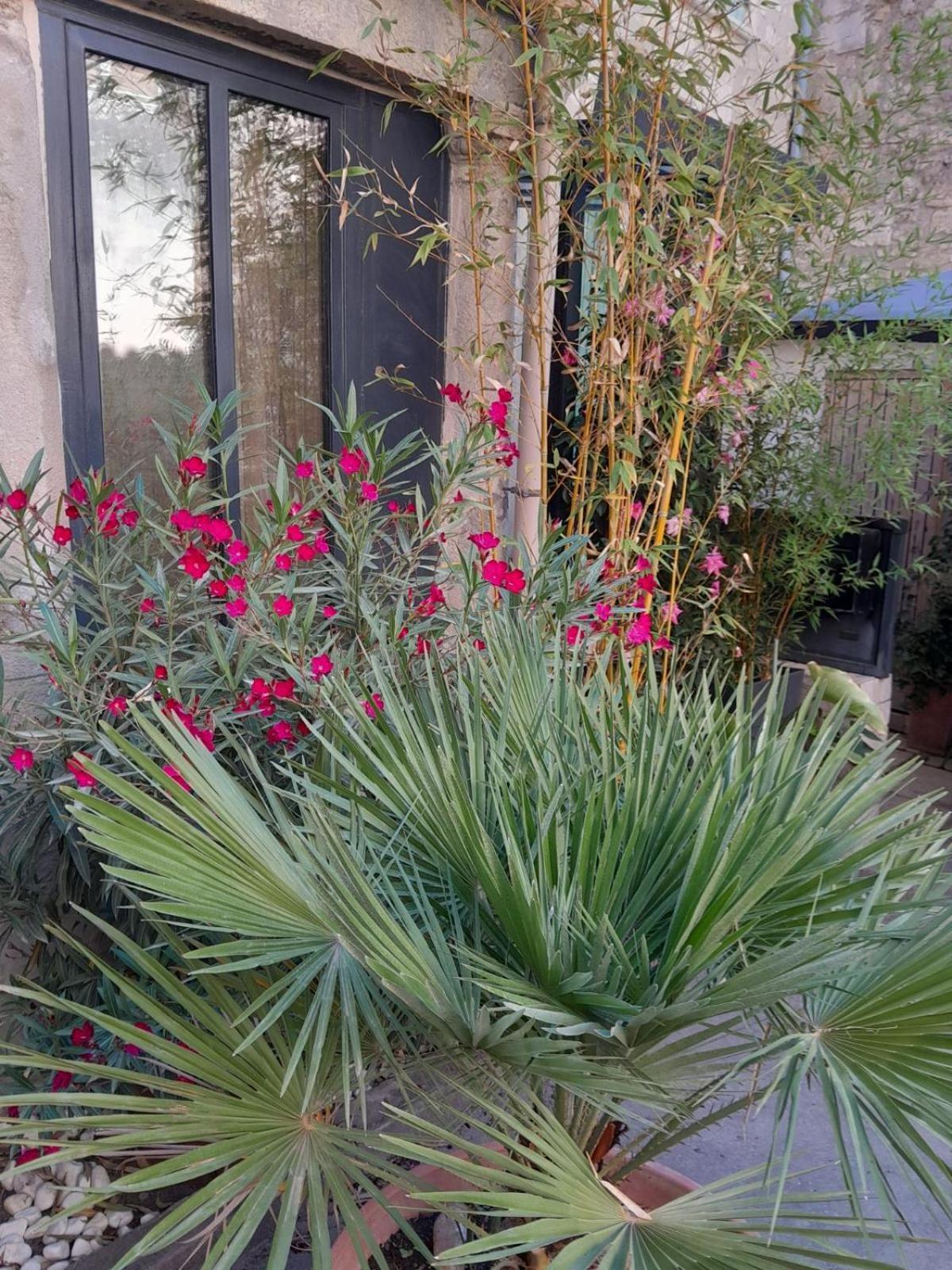 Le Clos Du Rouet Tarascón Exterior foto